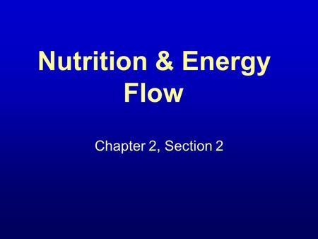 Nutrition & Energy Flow