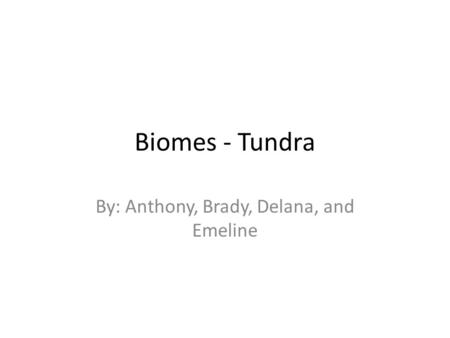 Biomes - Tundra By: Anthony, Brady, Delana, and Emeline.