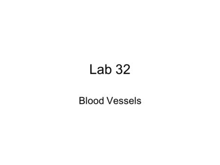 Lab 32 Blood Vessels.