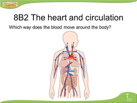 8B2 The heart and circulation Which way does the blood move around the body?