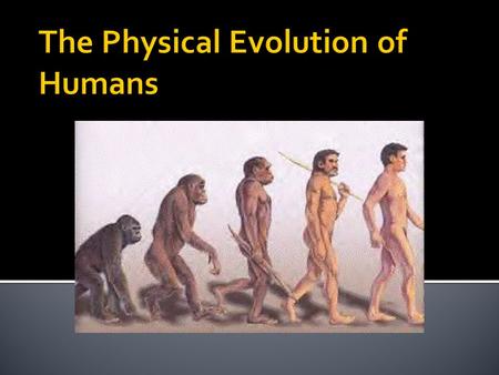 The Physical Evolution of Humans