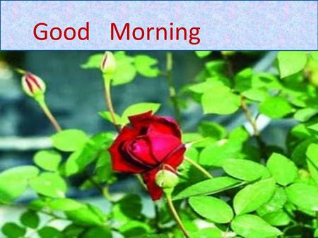 Good Morning. Bacira Akther Khatun Lecturer Department of Chemistry Comilla Cadet College Presented By.