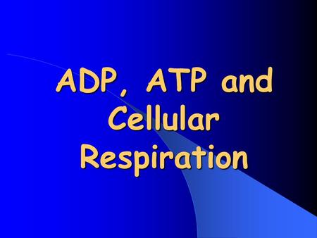 ADP, ATP and Cellular Respiration. What Is ATP? Energy used by all Cells Adenosine Triphosphate Organic molecule containing high- energy Phosphate bonds.