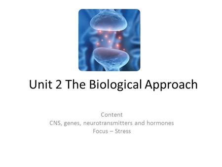 Unit 2 The Biological Approach