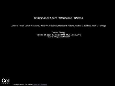 Bumblebees Learn Polarization Patterns James J. Foster, Camilla R. Sharkey, Alicia V.A. Gaworska, Nicholas W. Roberts, Heather M. Whitney, Julian C. Partridge.