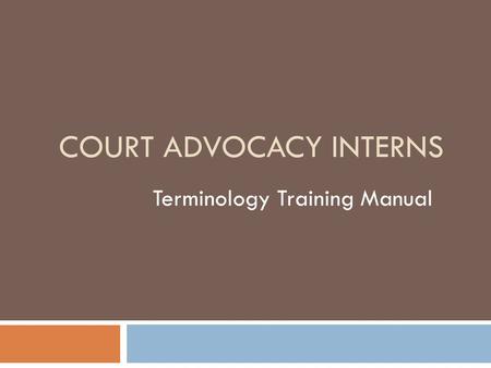 COURT ADVOCACY INTERNS Terminology Training Manual.