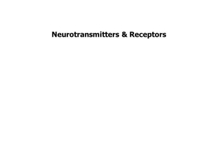 Neurotransmitters & Receptors. Sensory neuron Motor neuron Receptor potentialAction potential Synaptic potential Action potential.