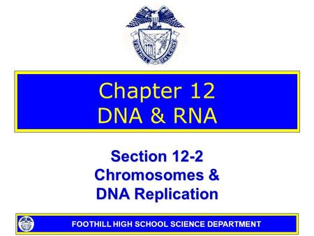FOOTHILL HIGH SCHOOL SCIENCE DEPARTMENT Chapter 12 DNA & RNA Section 12-2 Chromosomes & DNA Replication.