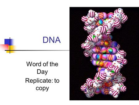 DNA Word of the Day Replicate: to copy Review DNA has a _______ ________ shape. It is made up of 4 different _________. Each subunit has a _______, a.