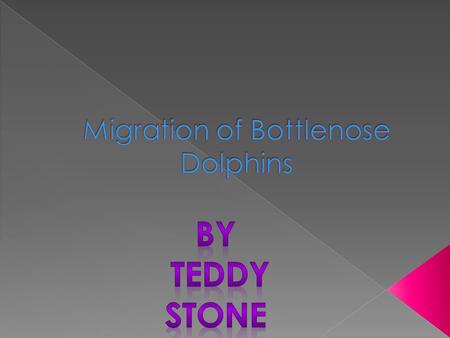  Bottlenose Dolphins live in temperate and tropical waters worldwide.  The surface water temperature varies from about 50 ⁰ -90 ⁰ F.  Bottlenose Dolphin.