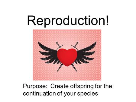 Reproduction! Purpose: Create offspring for the continuation of your species.