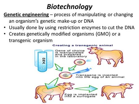 Biotechnology Genetic engineering – process of manipulating or changing an organism’s genetic make-up or DNA Usually done by using restriction enzymes.