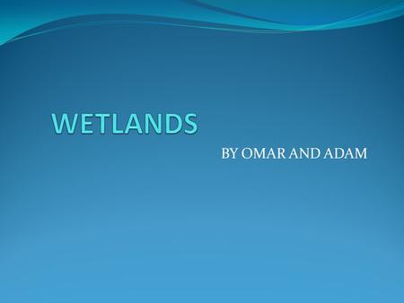 BY OMAR AND ADAM Geography & Climate Location: all over the world in lowland areas Description: a wide variety of aquatic habitats Soil type: nutrient.
