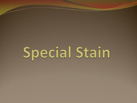Special Stain.