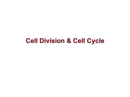 Cell Division & Cell Cycle. What is cell division?