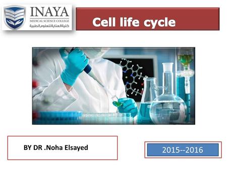 BY DR.Noha Elsayed 2015--2016. objectives 1.Describe the phases of the cell cycle. 2.As a part of interphase, describe the 3.process of DNA replication.