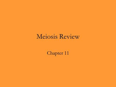 Meiosis Review Chapter 11.