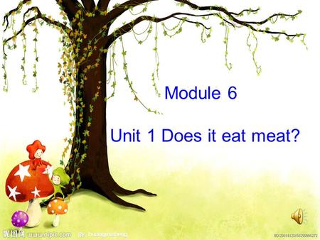 Module 6 Unit 1 Does it eat meat?. I like the dog because it is cute. [kju:t]