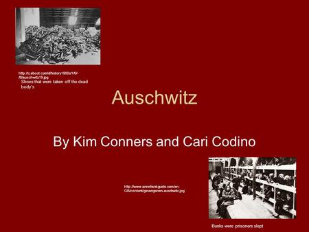 Auschwitz By Kim Conners and Cari Codino Shoes that were taken off the dead body’s Bunks were prisoners slept  /B/auschwitz19.jpg.