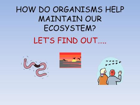 HOW DO ORGANISMS HELP MAINTAIN OUR ECOSYSTEM? LET’S FIND OUT…..