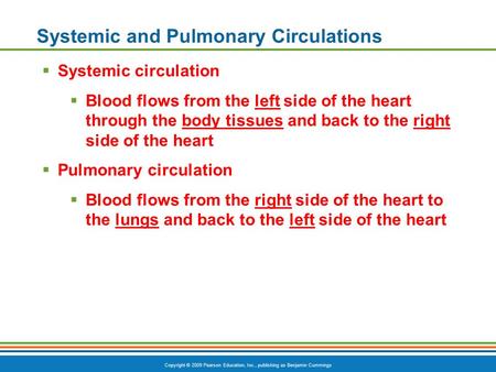 Systemic and Pulmonary Circulations