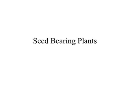 Seed Bearing Plants.
