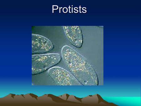 Protists The kingdom protista is a diverse group that may include more than 200,000 species. A protist is any organism that is not a plant an animal,