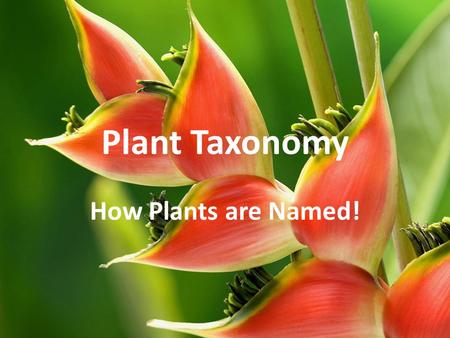 Plant Taxonomy How Plants are Named!.