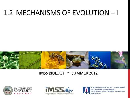 1.2 MECHANISMS OF EVOLUTION – I IMSS BIOLOGY ~ SUMMER 2012.