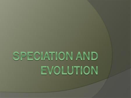 Speciation and Evolution