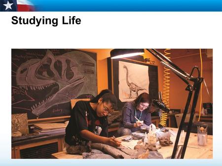 Studying Life. Learning Objectives  List the characteristics of living things.  Identify the central themes of biology.  Explain how life can be studied.