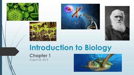 Introduction to Biology Chapter 1 August 26, 2015.