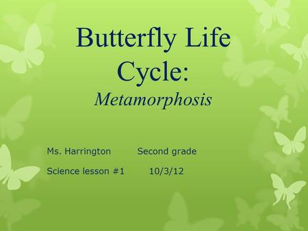 Butterfly Life Cycle: Metamorphosis