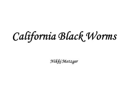 California Black Worms Nikki Metzger. Question: Do California black worms regenerate faster in the light or in the dark?