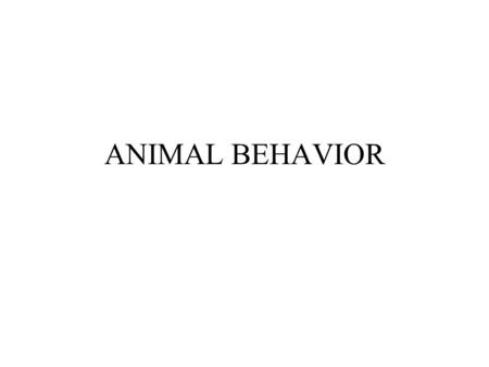 ANIMAL BEHAVIOR. Innate Behavior Instinct-- Taxis- Seasonal behaviors.