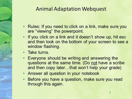 1 1 Animal Adaptation Webquest Rules: If you need to click on a link, make sure you are “viewing” the powerpoint. If you click on a link and it doesn’t.