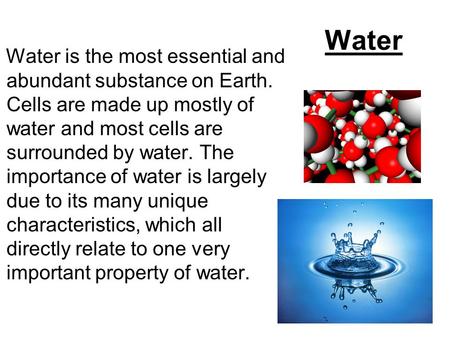 Water Water is the most essential and abundant substance on Earth. Cells are made up mostly of water and most cells are surrounded by water. The importance.