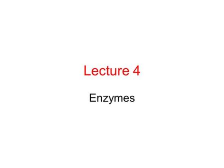 Lecture 4 Enzymes. Proteins Catalyze all cellular reactions Enzymes are not changed by the reactions, and can be reused.