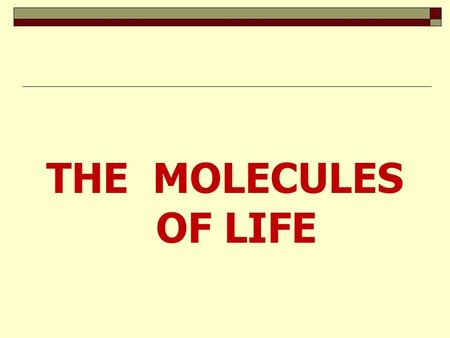 THE MOLECULES OF LIFE.
