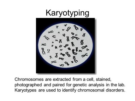 Karyotyping Chromosomes are extracted from a cell, stained, photographed and paired for genetic analysis in the lab. Karyotypes are used to identify chromosomal.