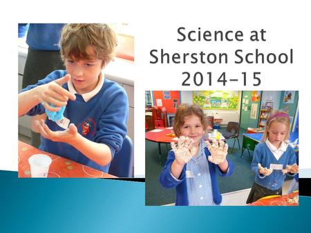  March 2014 Dr Tom Robson led a whole staff Science TD day where we raised awareness amongst staff of the recent changes to the curriculum for Science.