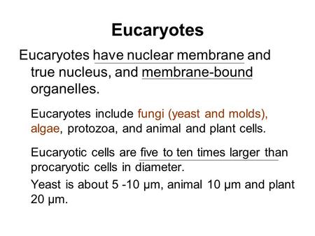 Eucaryotes Eucaryotes have nuclear membrane and true nucleus, and membrane-bound organelles. Eucaryotes include fungi (yeast and molds), algae, protozoa,