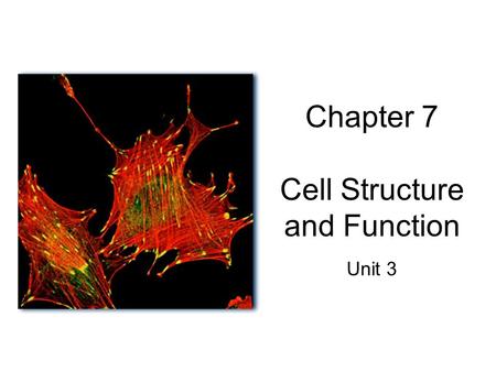 Chapter 7 Cell Structure and Function Unit 3. Cytology: the study of cells.