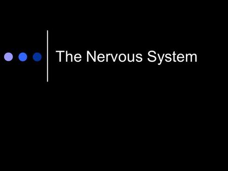 The Nervous System. the electrochemical ( chemical reactions brought about by electricity) communication system of the body.
