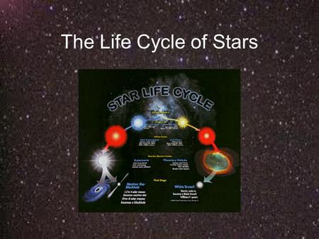 The Life Cycle of Stars “protostar” The Life Cycle of Stars “protostar” “Main Sequence” (longest phase in a star’s cycle.
