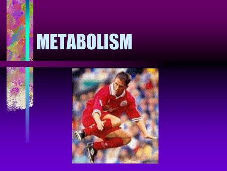 METABOLISM. The concept of metabolism Metabolism = all the chemical reactions taken place inside the living organisms Metabolic reactions produce different.