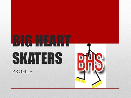 BIG HEART SKATERS PROFILE. WHO WE ARE Big Heart Skaters Int'l Ltd Started Operations in Nigeria since 2006, Duly Registered And Incorporated on the 17th.