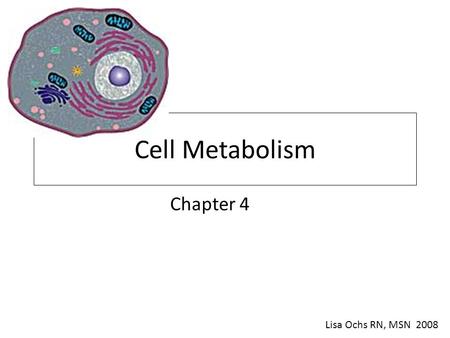 Cell Metabolism Chapter 4 Lisa Ochs RN, MSN 2008.