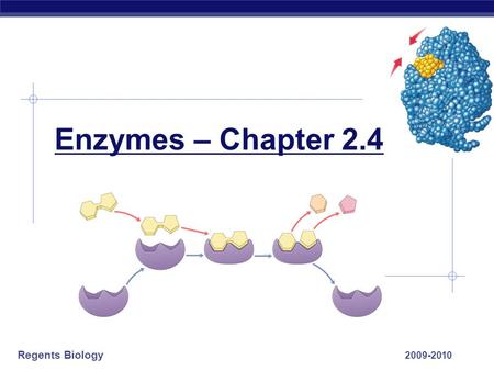Regents Biology 2009-2010 Enzymes – Chapter 2.4 Regents Biology A. Flow of energy  Life is built on chemical reactions.