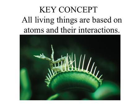 Living things consist of atoms of different elements.